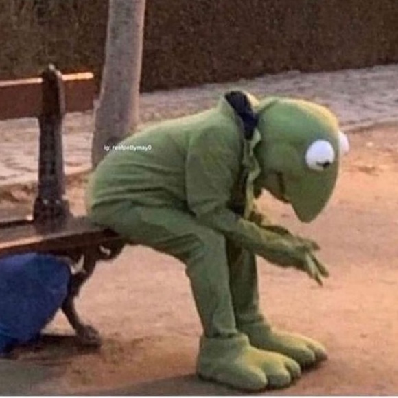 Meet your Posher, Rachael - Picture 1 of 1